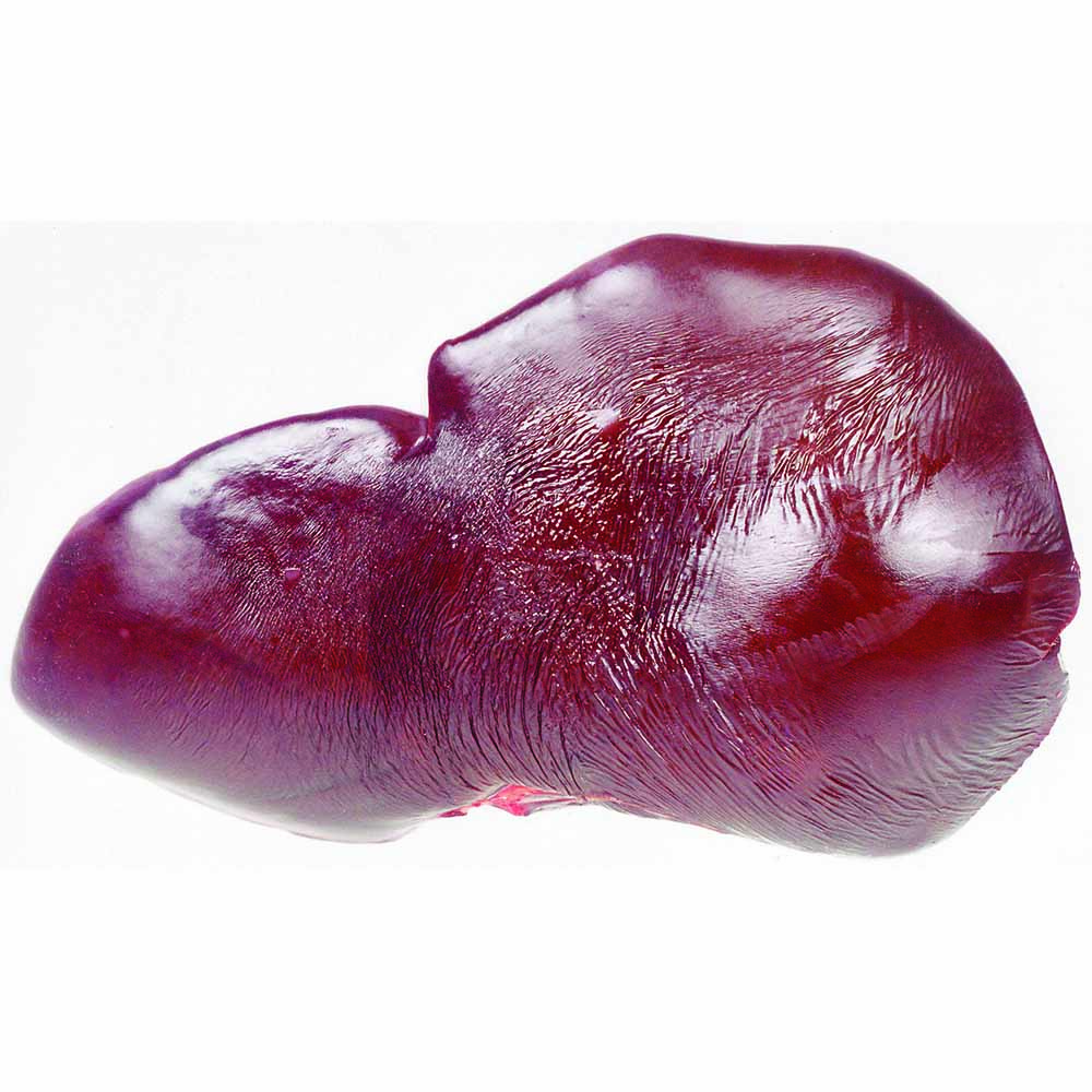 figado-bovino-minervafoods-90352.jpg